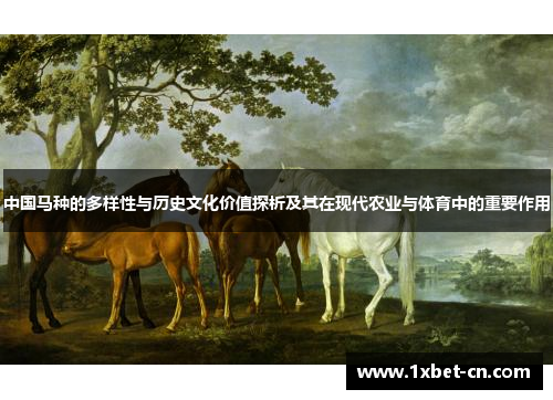 中国马种的多样性与历史文化价值探析及其在现代农业与体育中的重要作用