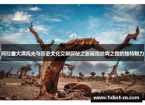 阿拉善大漠风光与历史文化交融探秘之旅展现丝绸之路的独特魅力